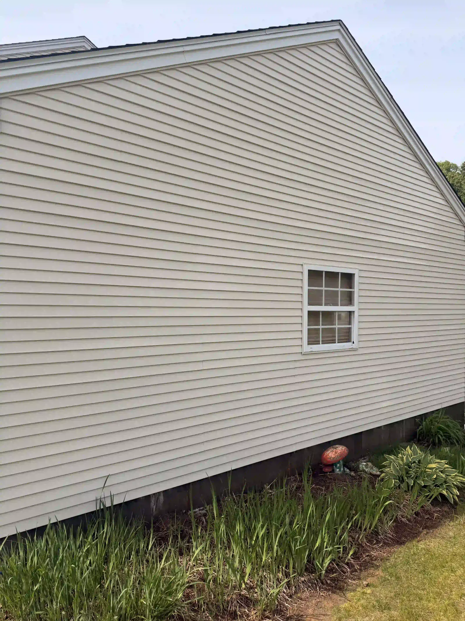 Signs Your Hard Surfaces Need Cleaning — Green or black algae film on concrete