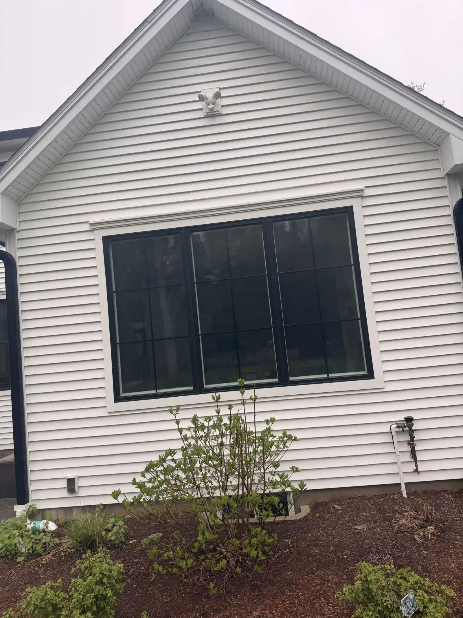 Window with visible tree debris buildup before cleaning