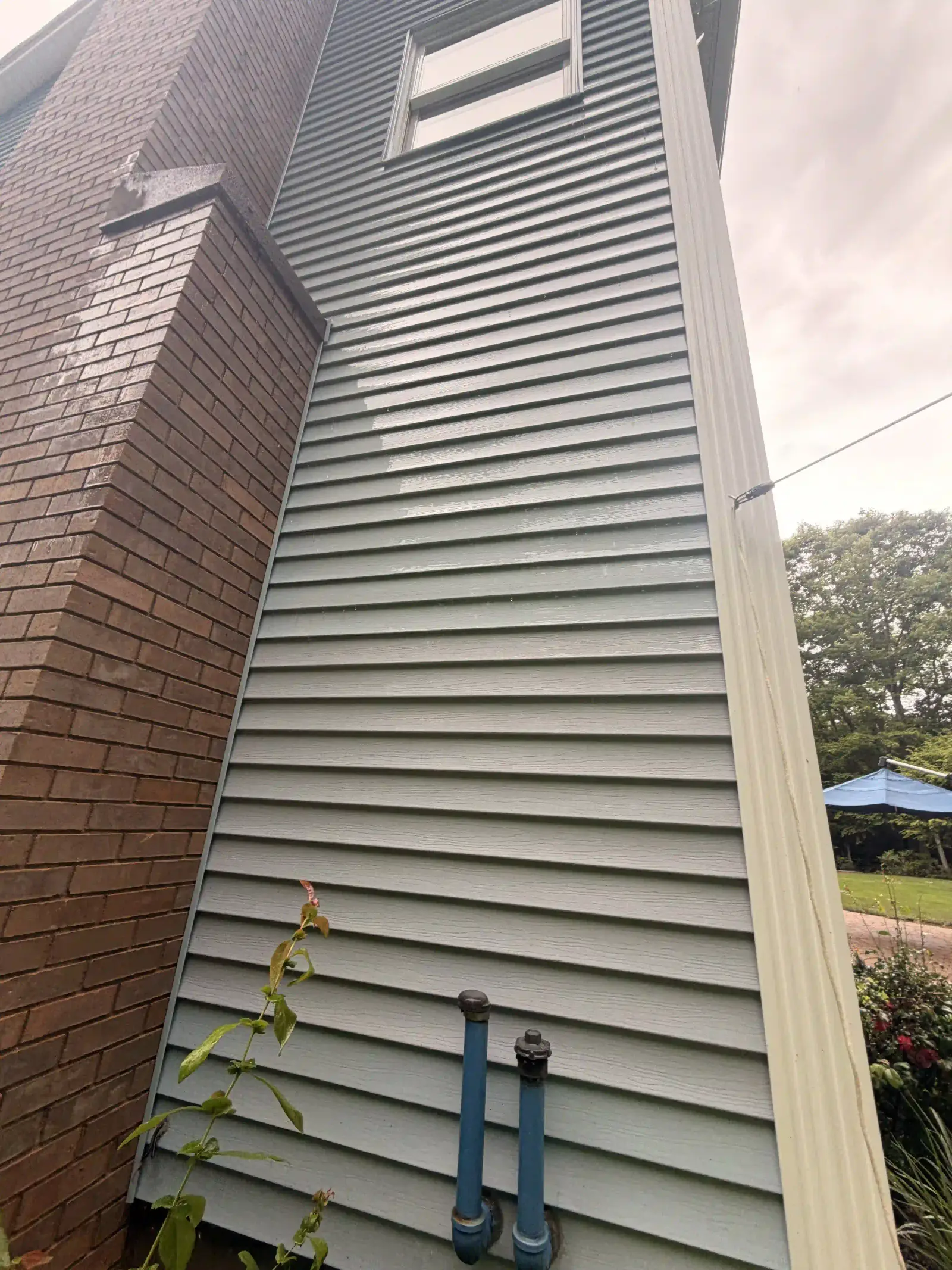 The finished result of a window cleaning visit