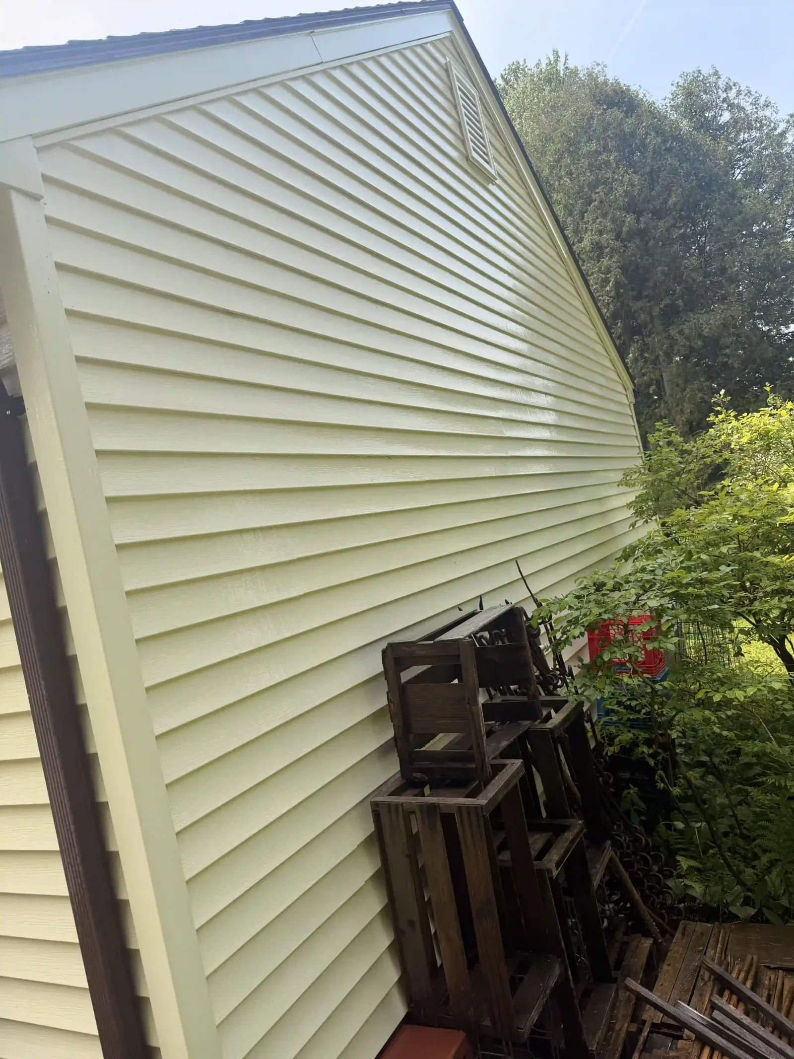 Signs Your Gutters Need Attention Now — Visible plant growth in the gutter troughs