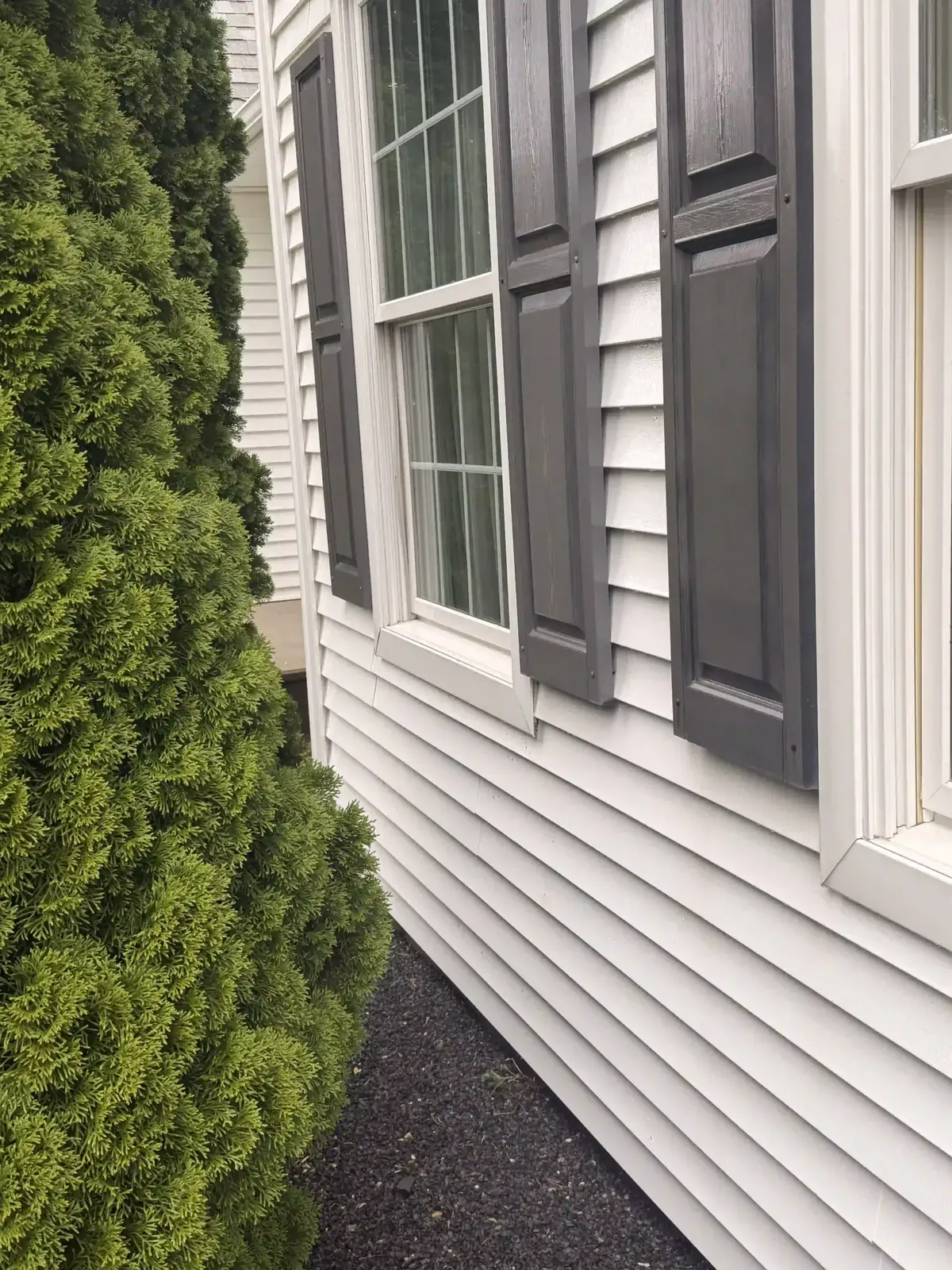 Freshly cleaned windows with gray shutters