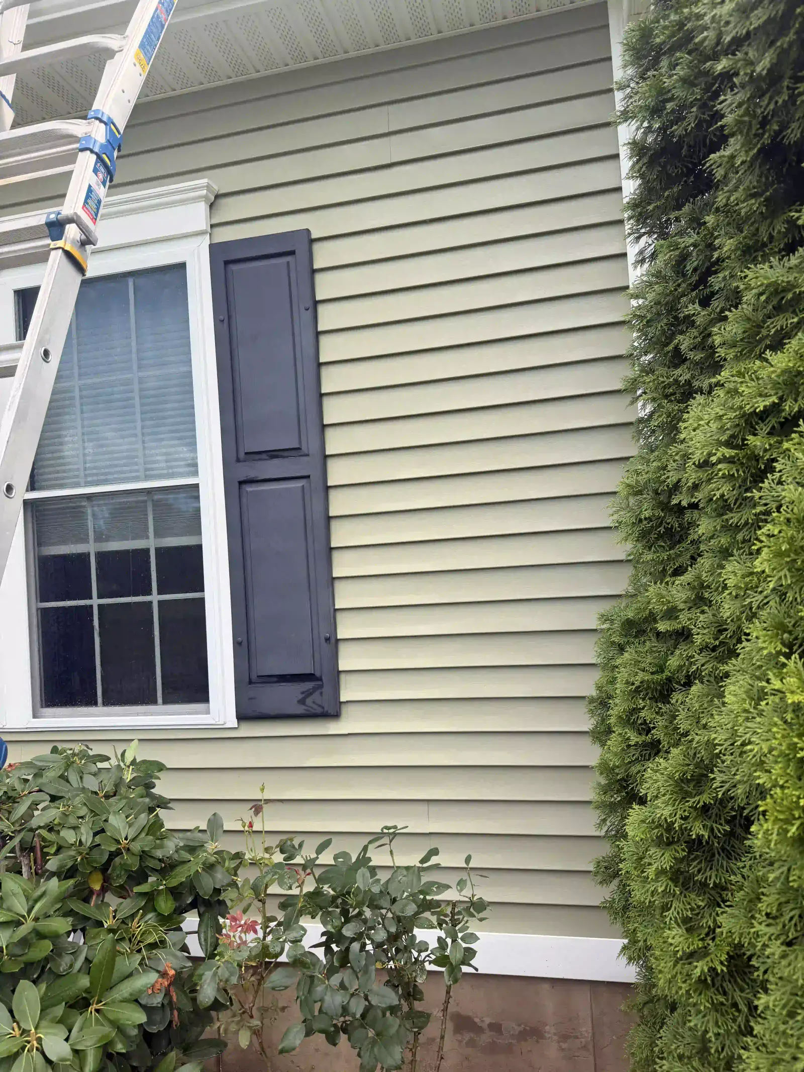 Local Weather Patterns Set the Schedule — Late fall and late spring are the two key windows here for