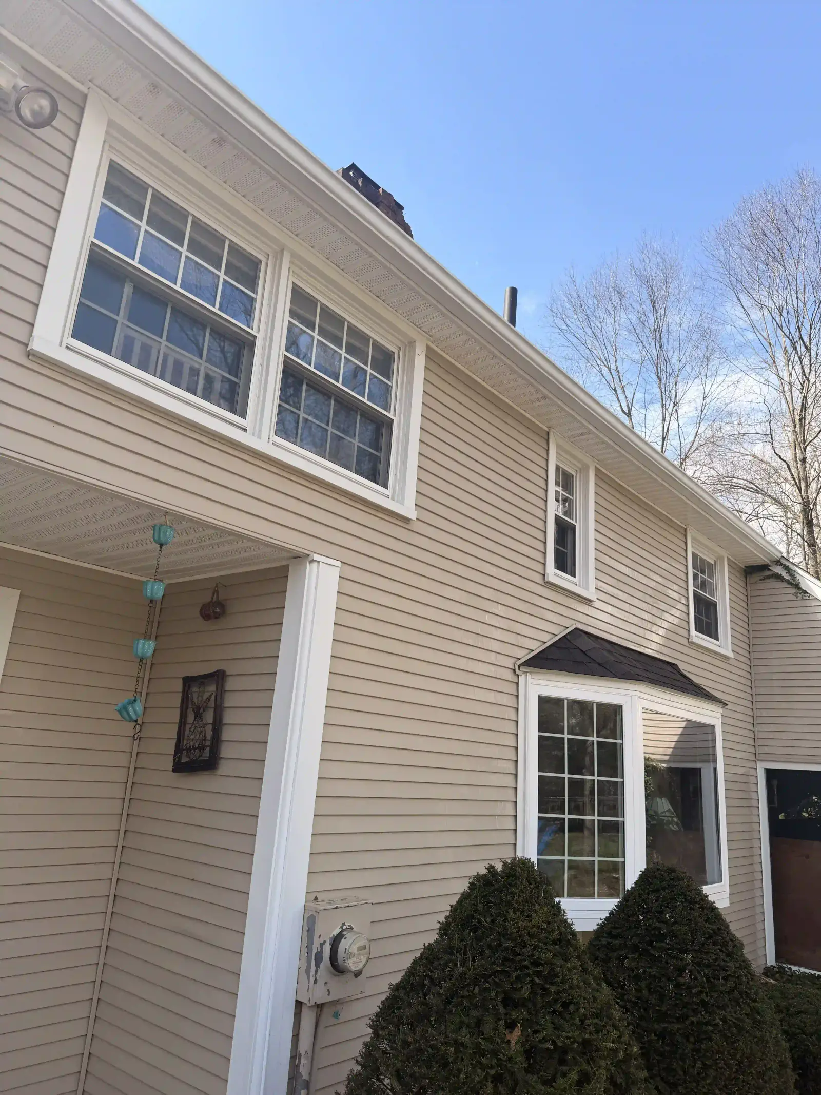 Local Shade and Moisture Change the Timeline — Shaded driveways near Westfield collect algae faster than sunny ones